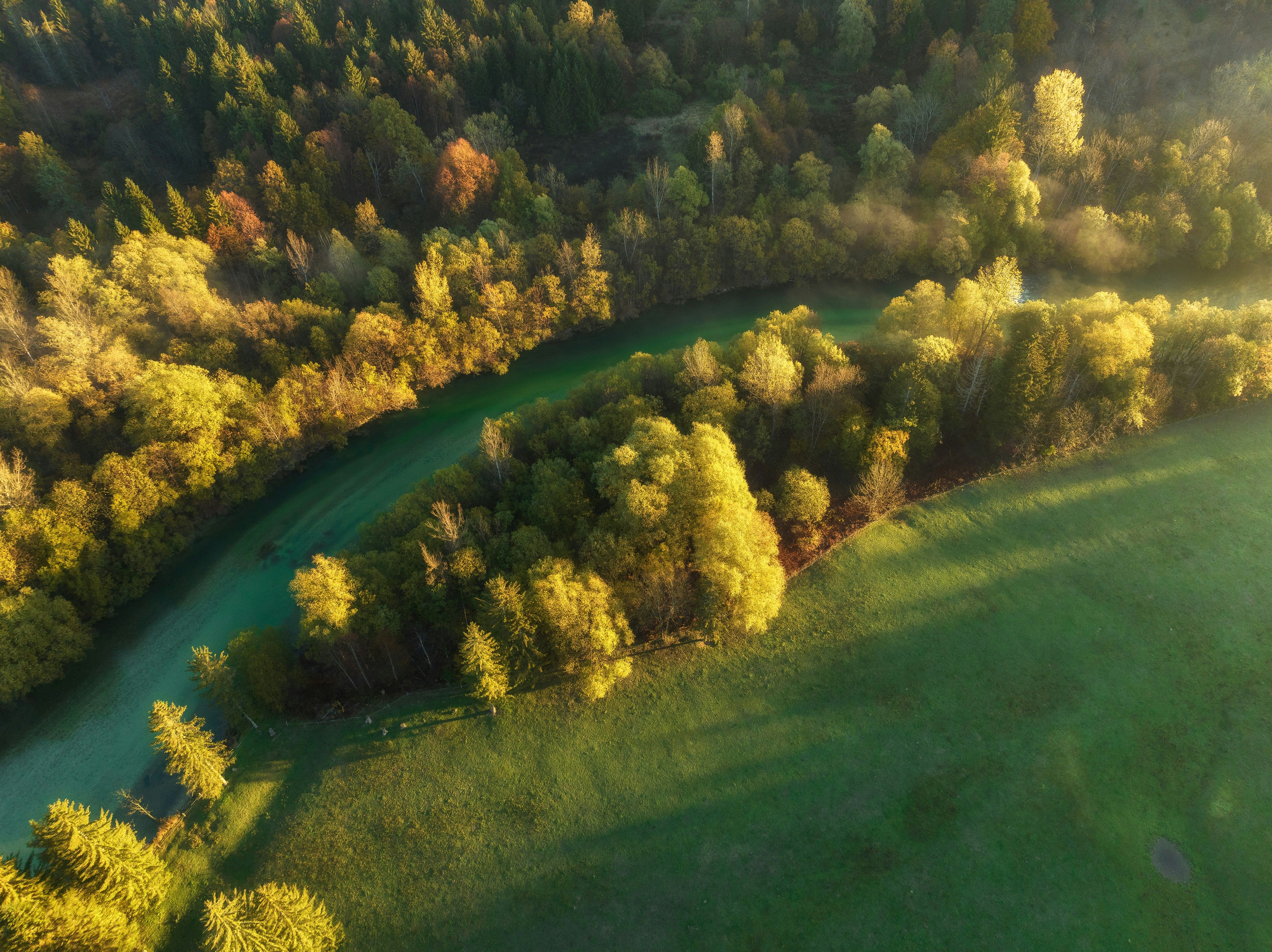 The Alzette and Sûre rivers are polluted