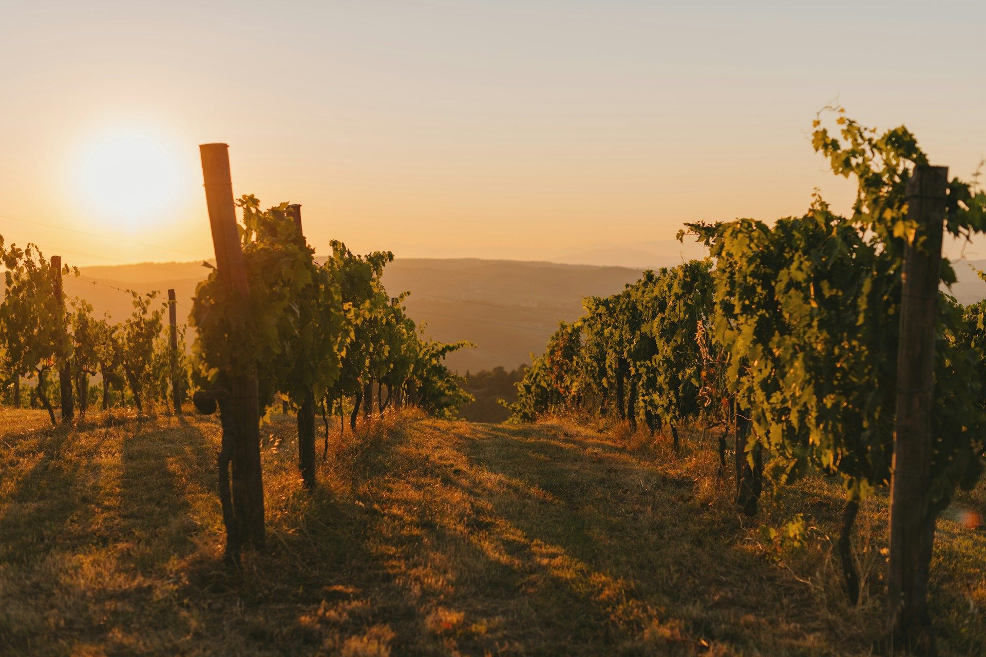 Luxembourg wants to turn the Moselle Valley into a tourism brand
