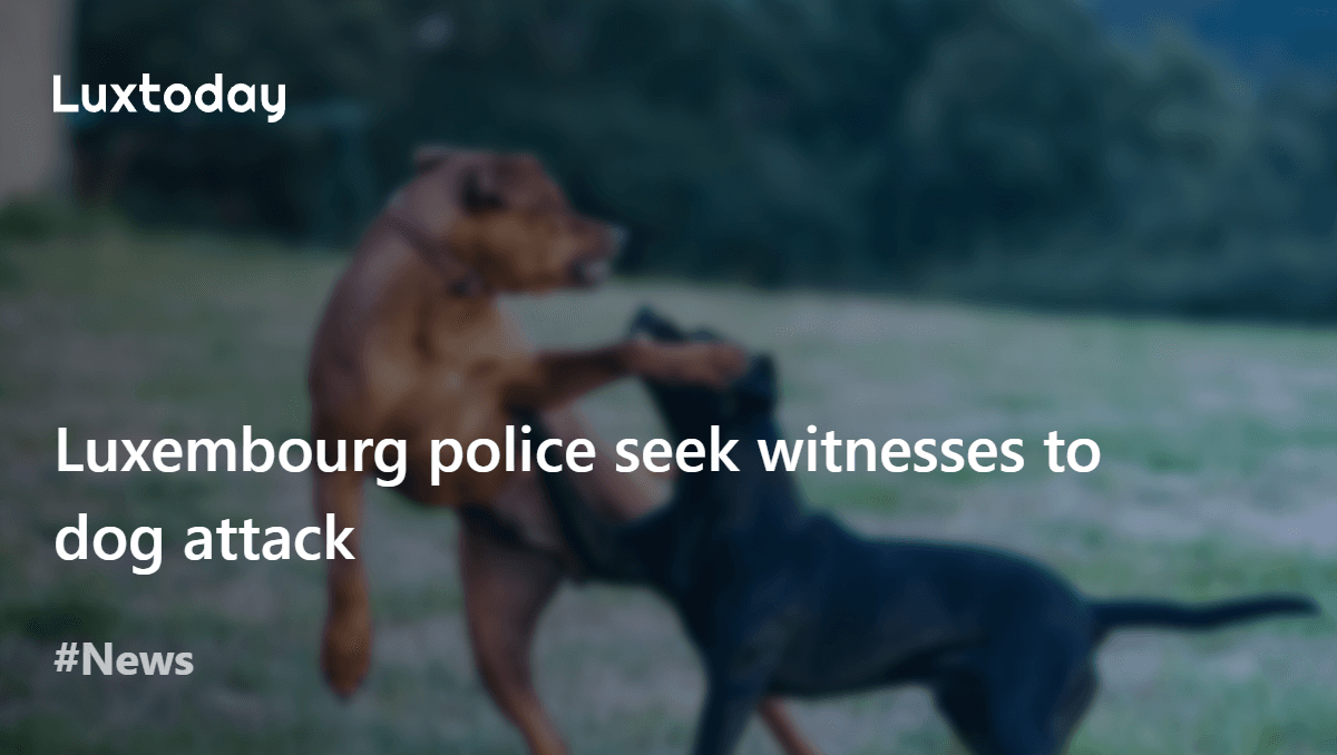 Luxembourg police seek witnesses to dog attack — Luxtoday.lu