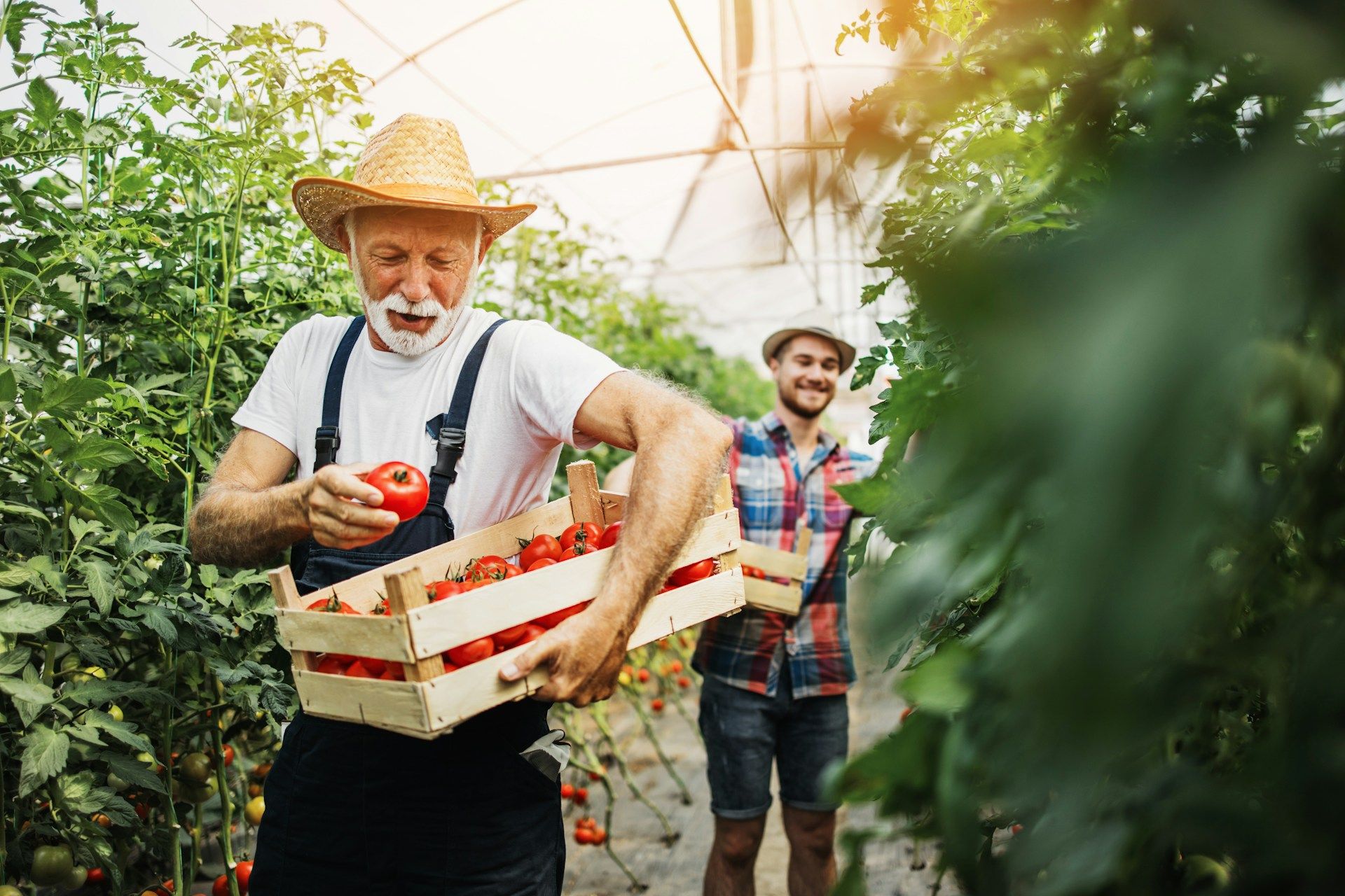 Wer wird Europa morgen ernähren: Minister diskutieren über die Generationenkrise in der Landwirtschaft