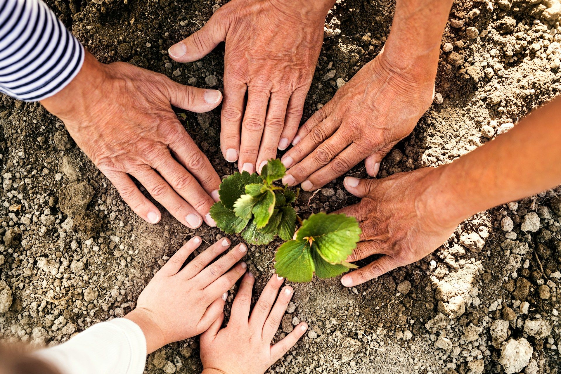 5 startups from Luxembourg changing the approach to sustainability