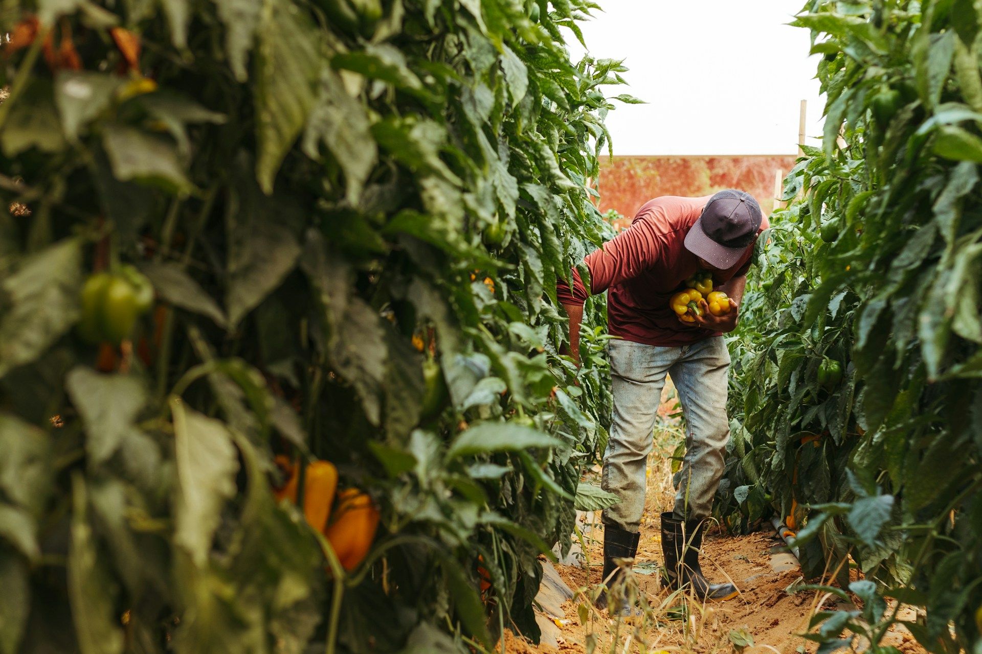 How Luxembourg is reshaping agricultural policy