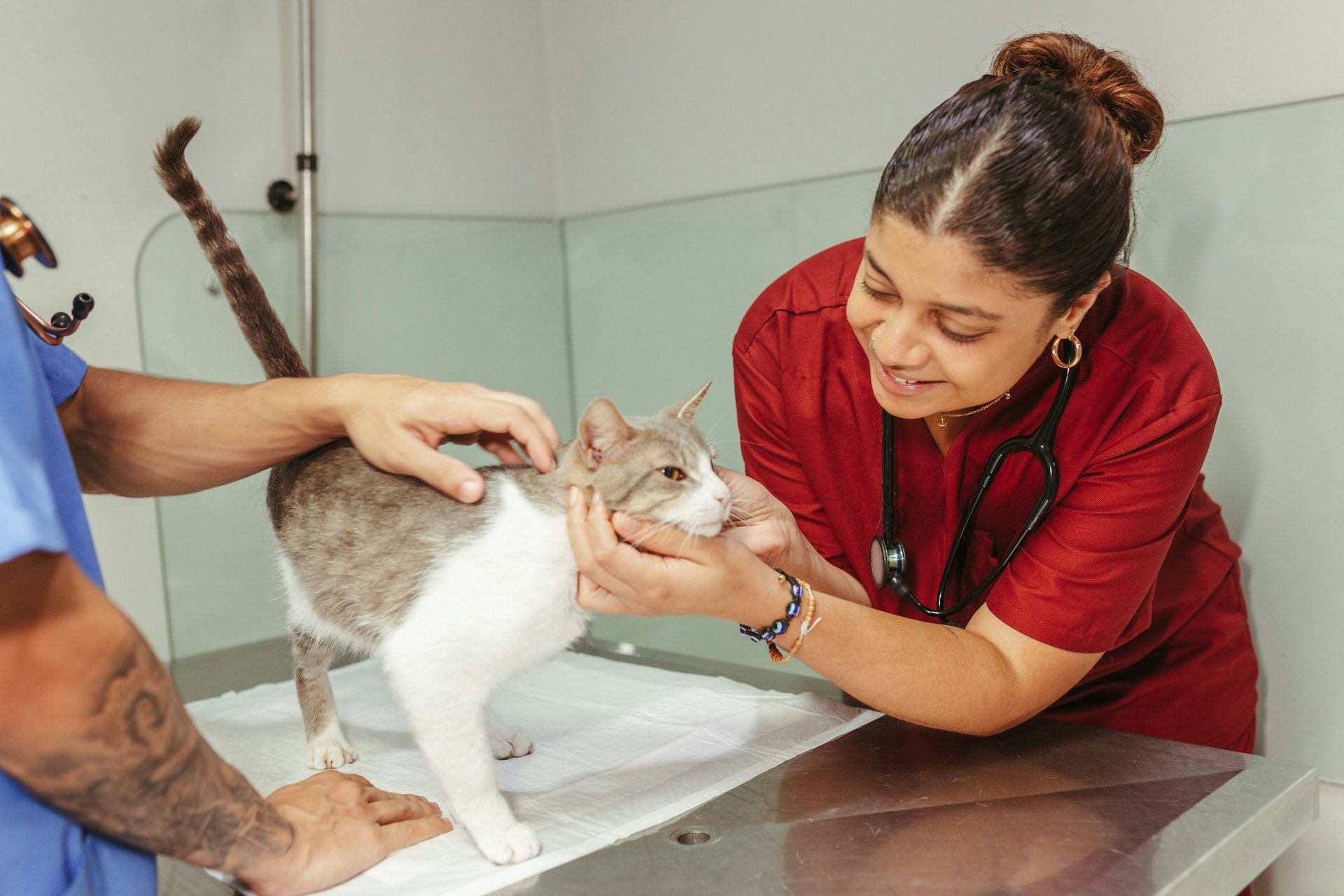 Luxembourg veterinarians ask for respect and solidarity
