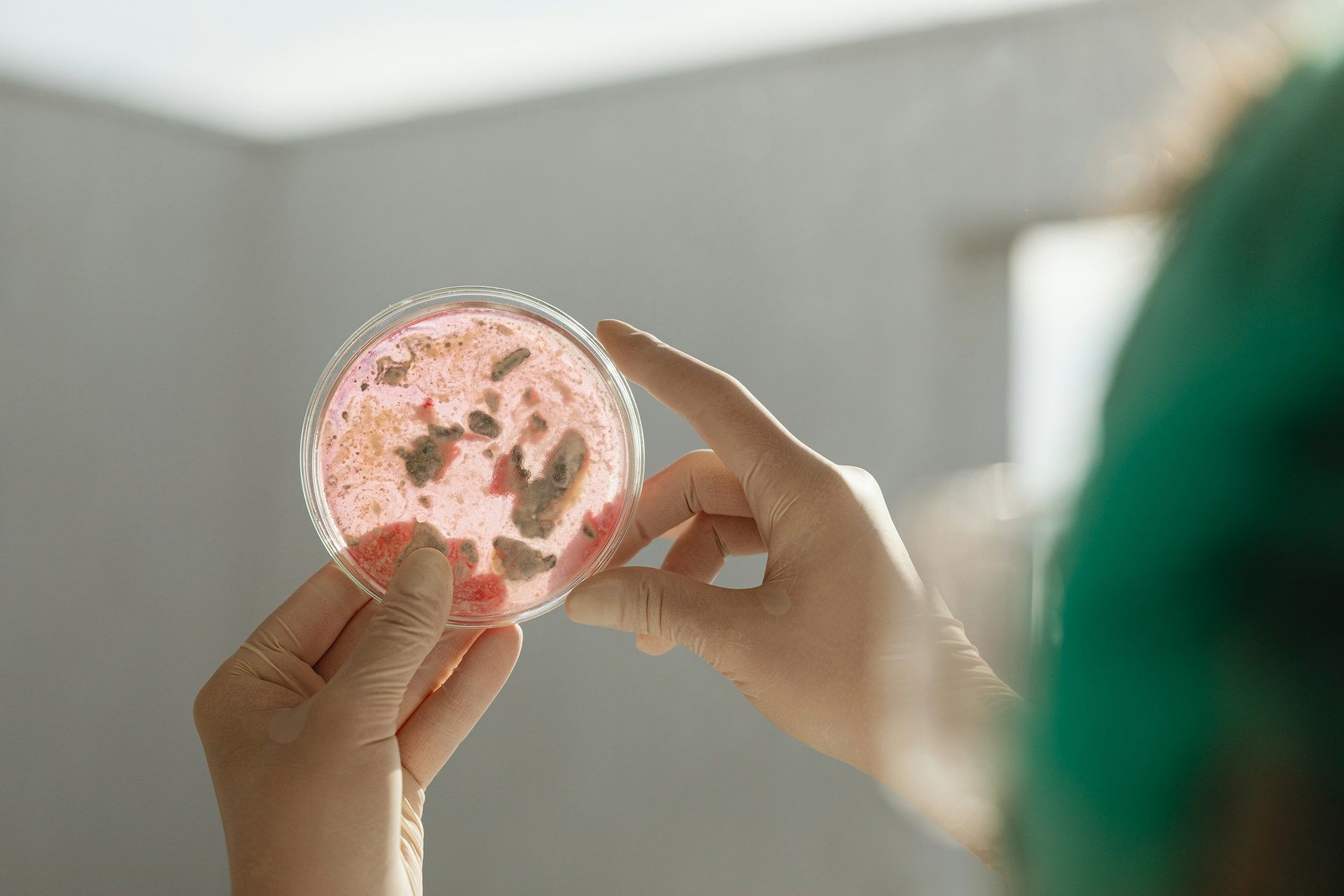 Wie Luxemburg die zunehmende Antibiotikaresistenz bekämpft