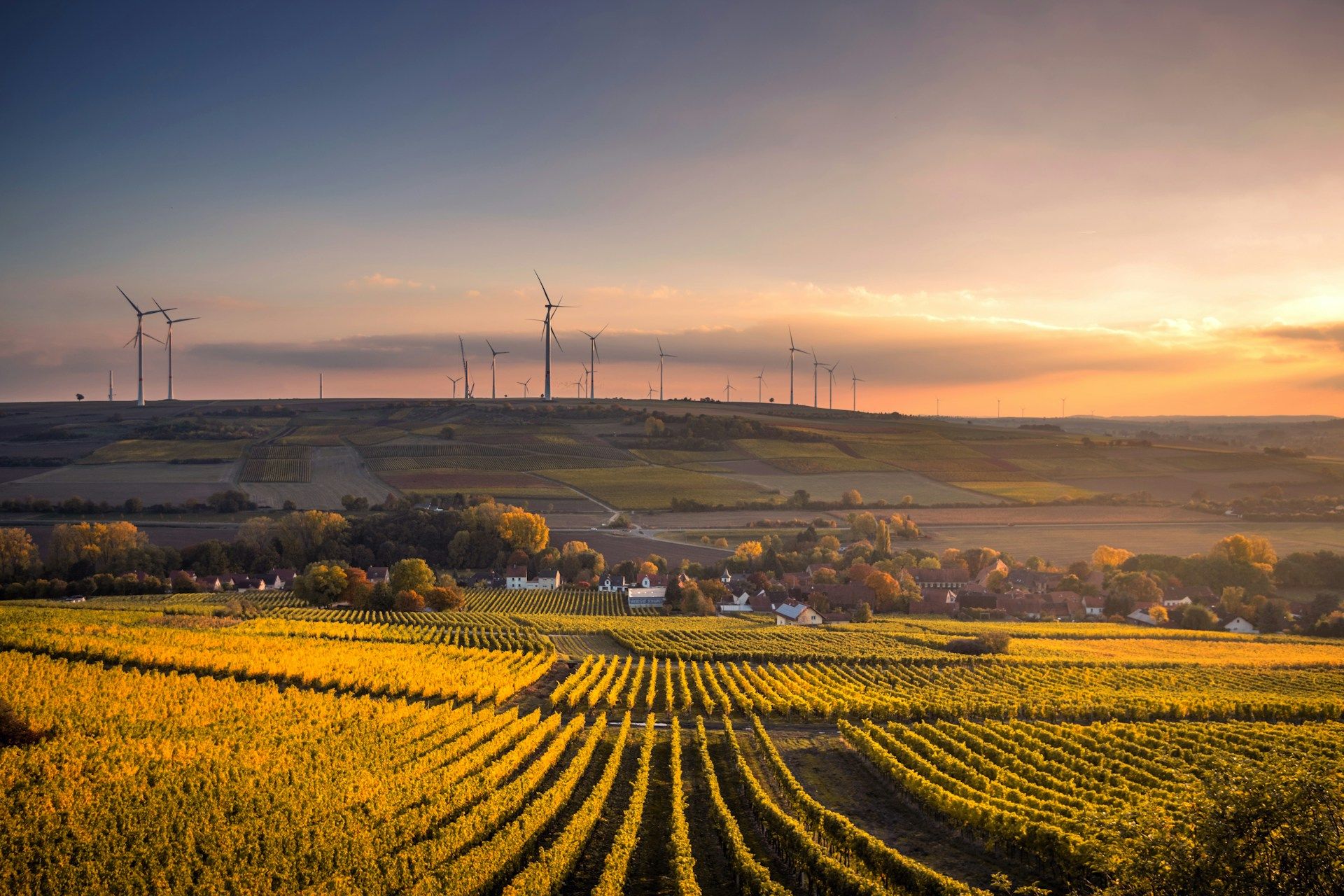 Le Luxembourg lance un concours pour les agriculteurs : à la recherche d'innovations pratiques ascendantes