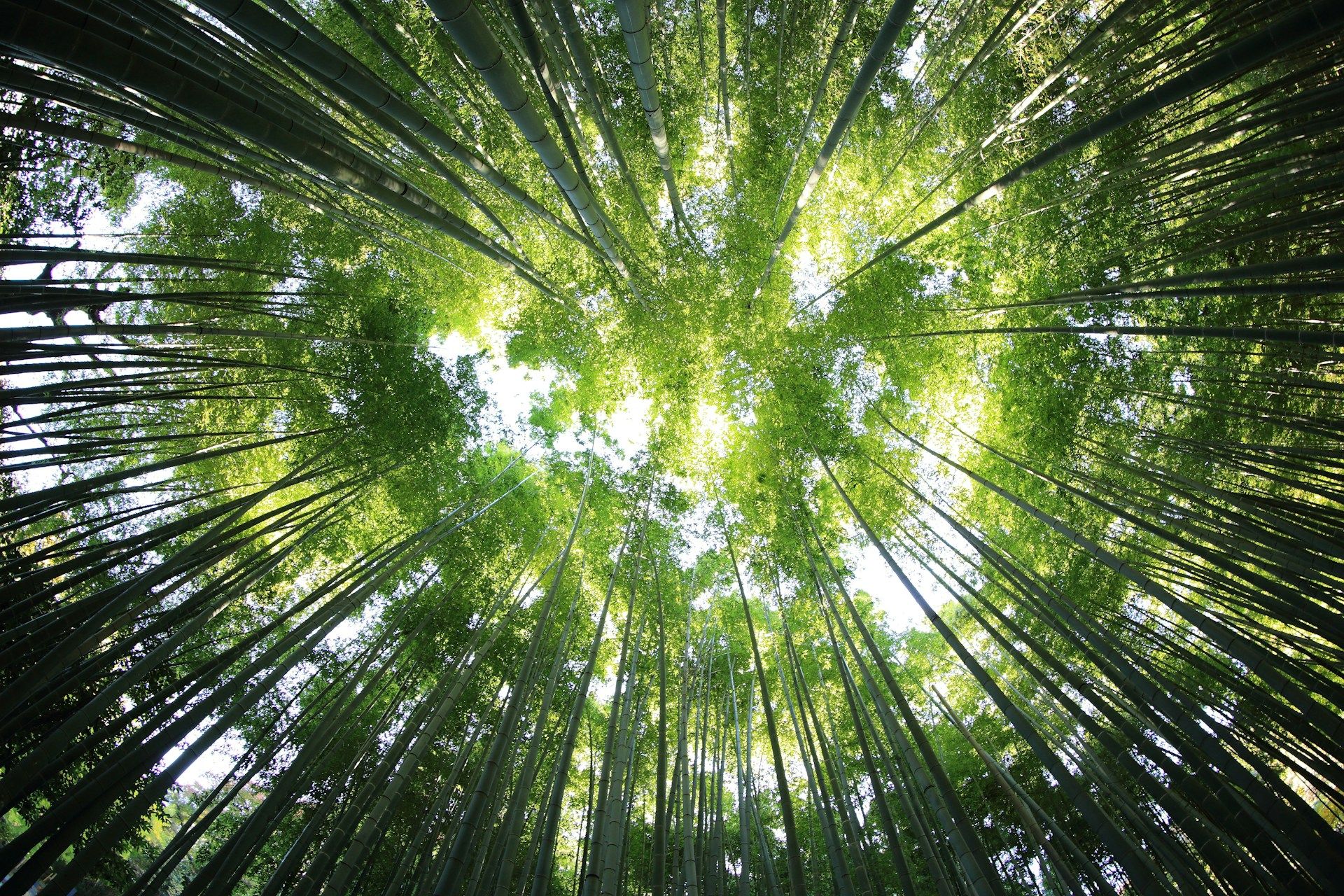 Europe has invested €76bn in environmental protection