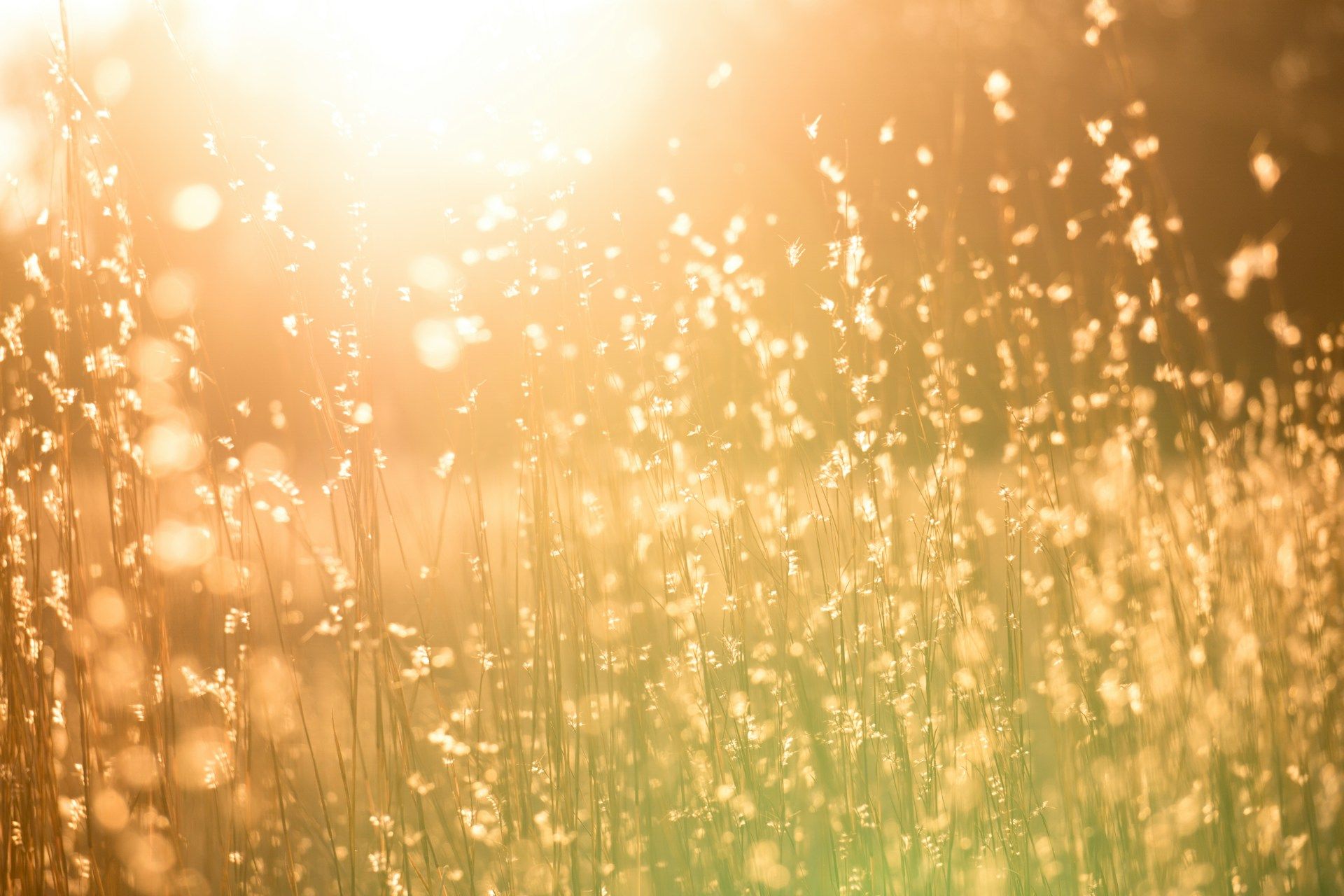 Luxembourg will be hit by a heatwave: Meteolux has issued a two-day warning