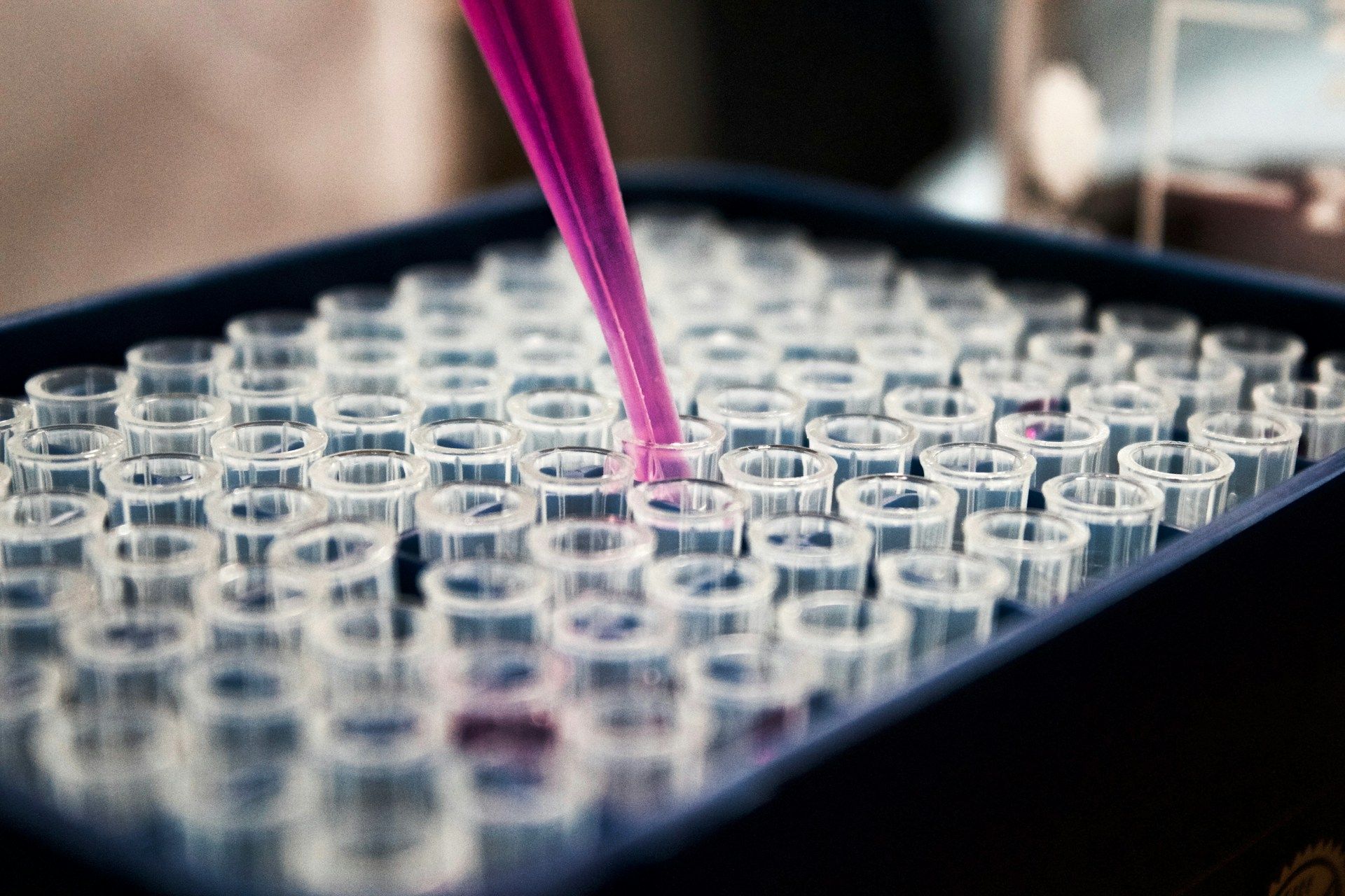 "Les données sont au cœur de notre industrie" : les pharmaciens parlent de l'avenir de l'EHDS