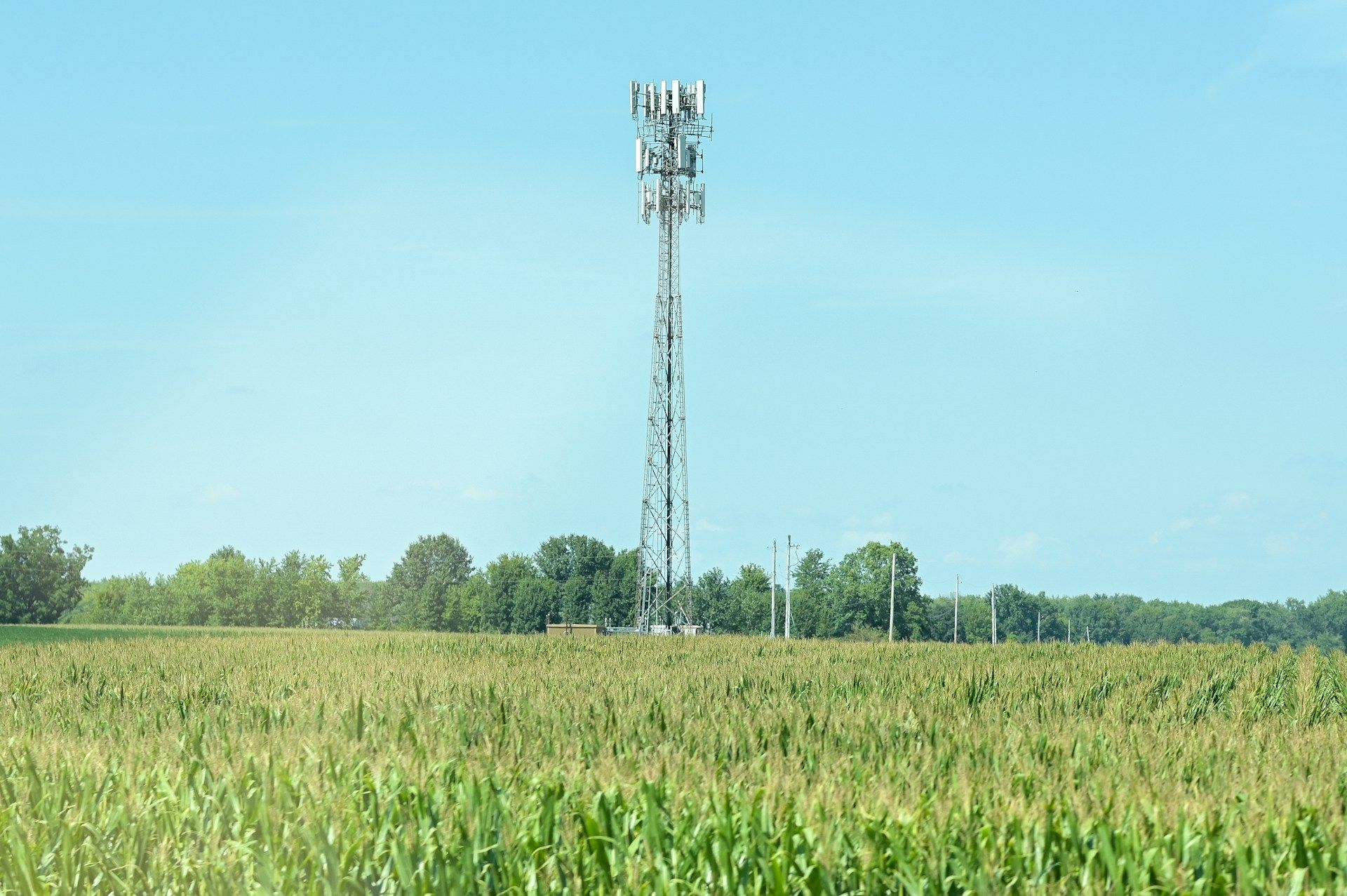 Le marché luxembourgeois des télécommunications bat des records