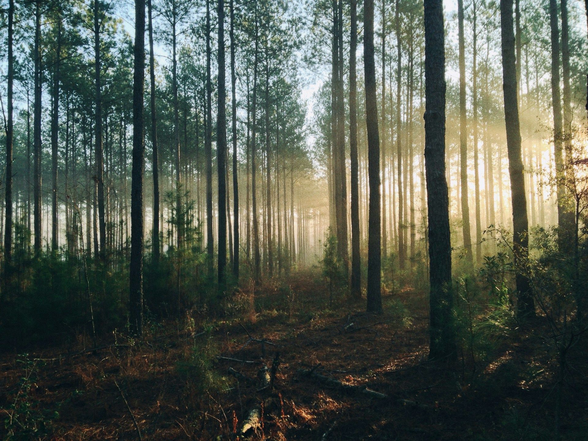 A new nature trail has opened in Luxembourg