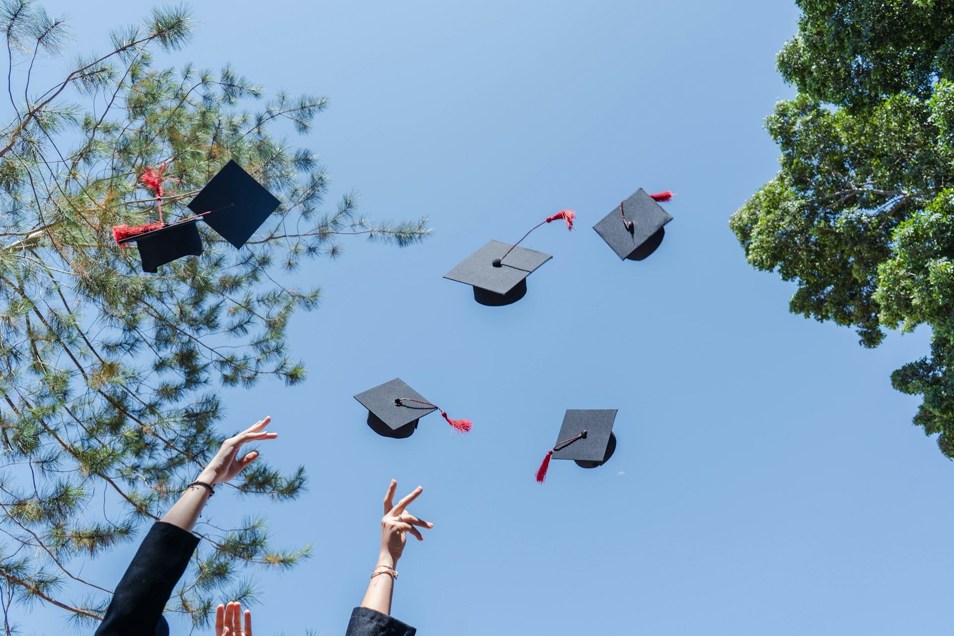 Les diplômés de l'école internationale St George battent des records